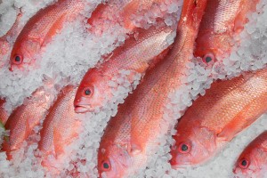 Used Ice Machines: Buyer Beware